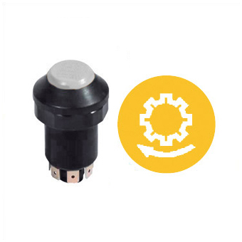 INTERRUTTORI TIPO PNEUTRON